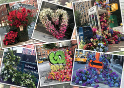 Puzzle: NYC Flower Flash (ONLINE ORDER ONLY)