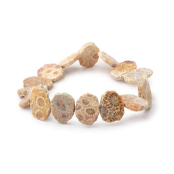 16x12mm Fossil Coral Side Drilled Slice Beads 7 inch 15 pieces (ONLINE ORDER ONLY)