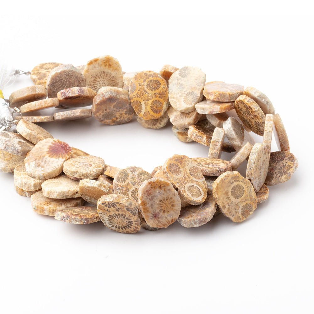 16x12mm Fossil Coral Side Drilled Slice Beads 7 inch 15 pieces (ONLINE ORDER ONLY)