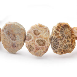 16x12mm Fossil Coral Side Drilled Slice Beads 7 inch 15 pieces (ONLINE ORDER ONLY)