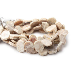 16x12mm Fossil Coral Side Drilled Slice Beads 7.5 inch 16 pieces (ONLINE ORDER ONLY)