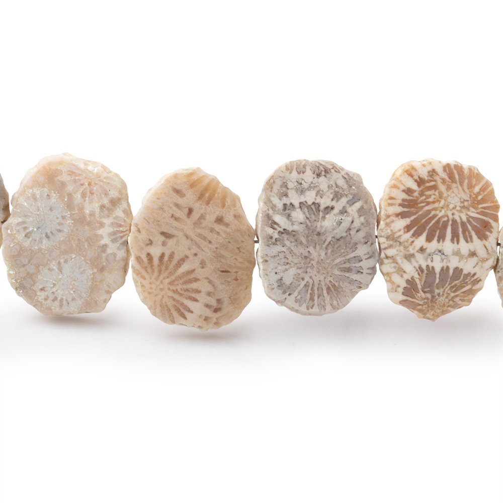 16x12mm Fossil Coral Side Drilled Slice Beads 7.5 inch 16 pieces (ONLINE ORDER ONLY)