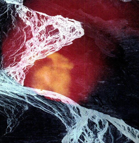Light Science [LP]