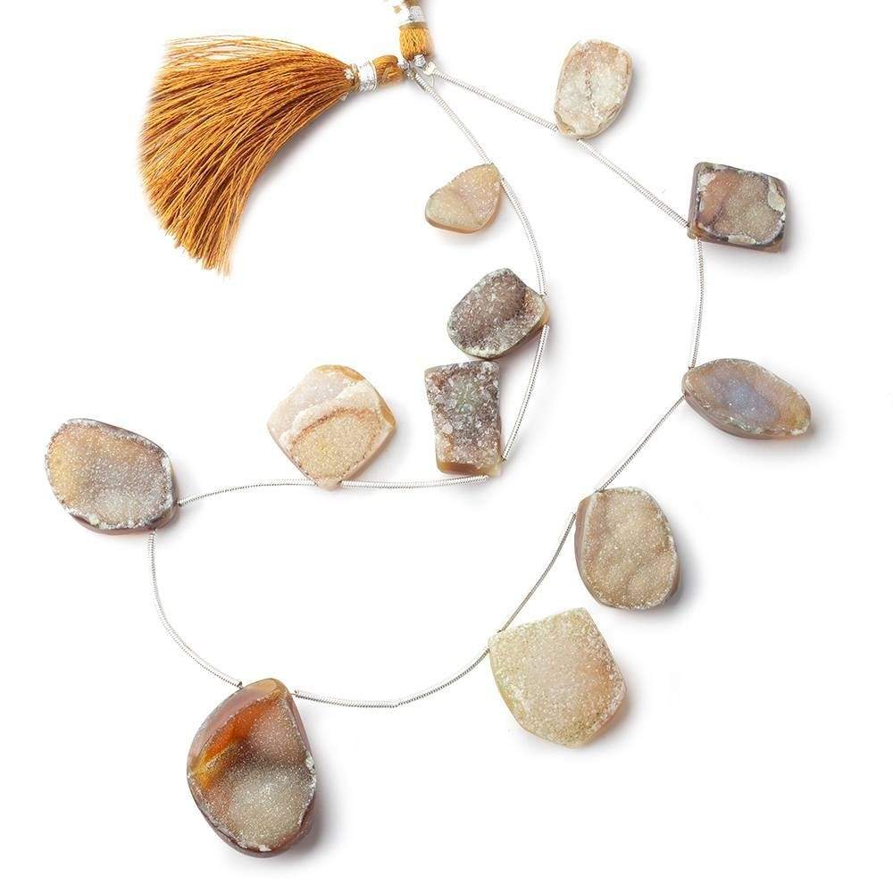 17x10-30x22mm Tortoise Shell Agate Drusy Freeform Beads 11 pieces (ONLINE ORDER ONLY)