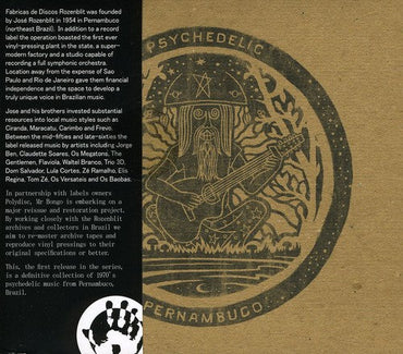 Psychedelic Pernambuco [CD]