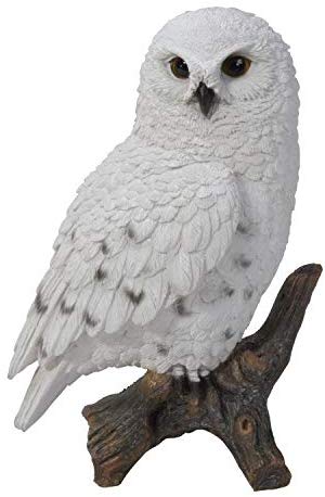 Snow Owl (ONLINE ORDER ONLY)