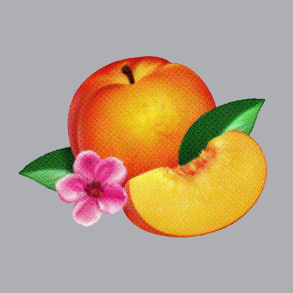 Bankrupt! [CD]