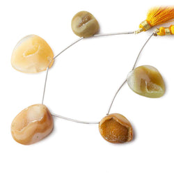 18x17-27x21mm Creme Brulee Yellow Agate Drusy Freeform Beads 5 pieces (ONLINE ORDER ONLY)