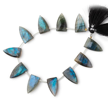 19-20mm Labradorite Faceted Point Beads 7.5 inch 10 pieces (ONLINE ORDER ONLY)
