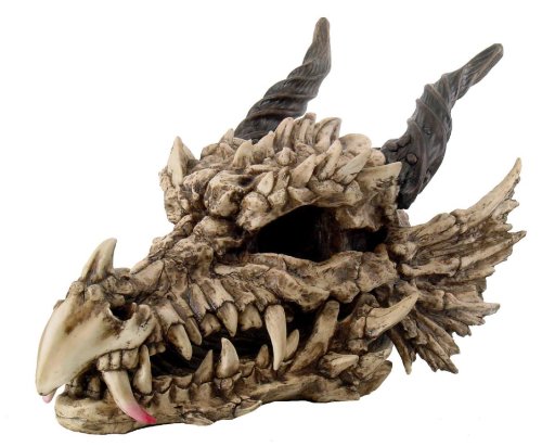 Large Dragon Skull (ONLINE ORDER ONLY)