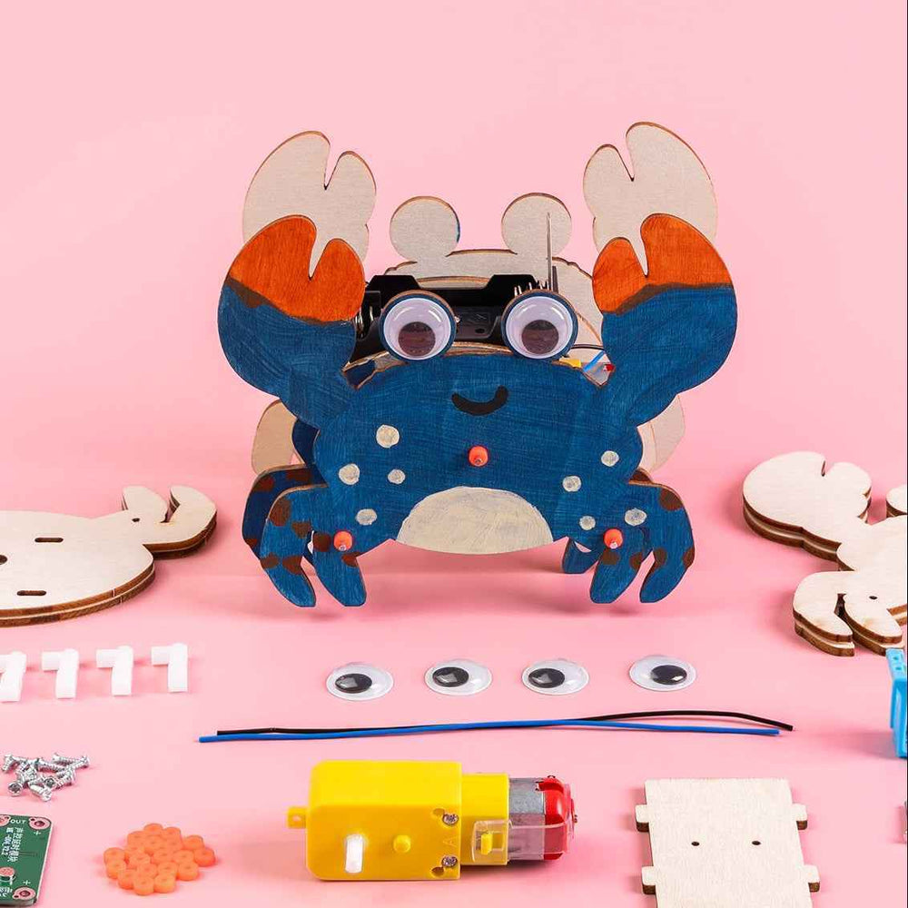 Sound-Activated Walking Crab STEM Kit – Build, Paint & Watch It Walk (ONLINE ORDER ONLY)