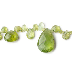 2-23x15mm Peridot Multiple Shape Beads 16 inch 153 pieces (ONLINE ORDER ONLY)