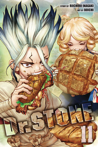 Dr Stone Graphic Novel Volume 11 (ONLINE ORDER ONLY)