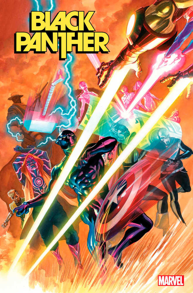 Black Panther (2021) #13 (Online Order Only)