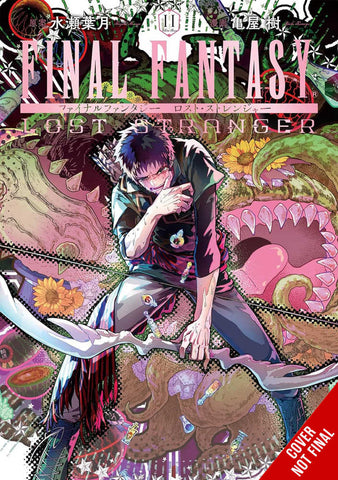 Final Fantasy Lost Stranger Graphic Novel Volume 11