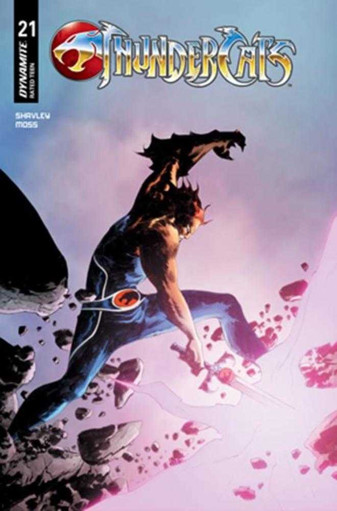 Thundercats #21 Cover C Jae Lee June Chung Variant