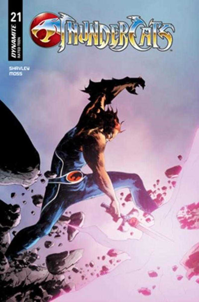Thundercats #21 Cover C Jae Lee June Chung Variant