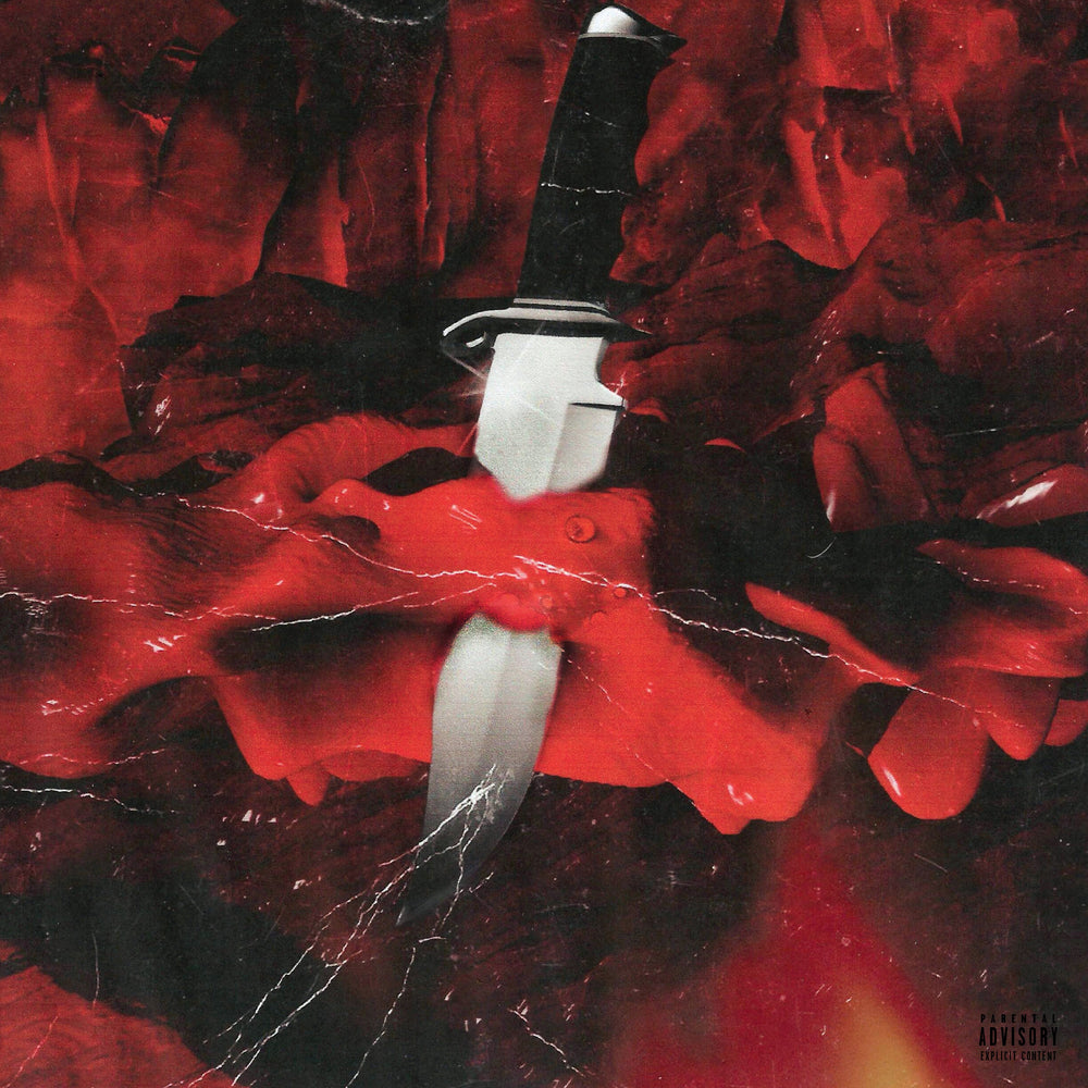 21 Savage & Metro Boomin - Savage Mode [Black Vinyl] [Vinyl] (ONLINE ORDER ONLY)