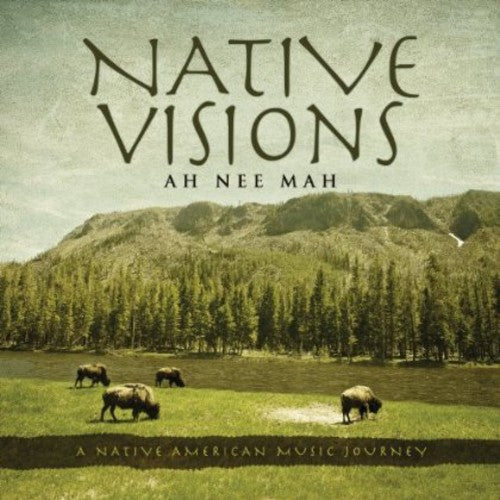 Native Visions: A Native American Music Journey [CD]