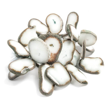 21x16-27x22mm Mocha Edged Solar Quartz Top Drilled Slices 7 inch 29 beads (ONLINE ORDER ONLY)
