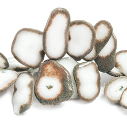 21x16-27x22mm Mocha Edged Solar Quartz Top Drilled Slices 7 inch 29 beads (ONLINE ORDER ONLY)