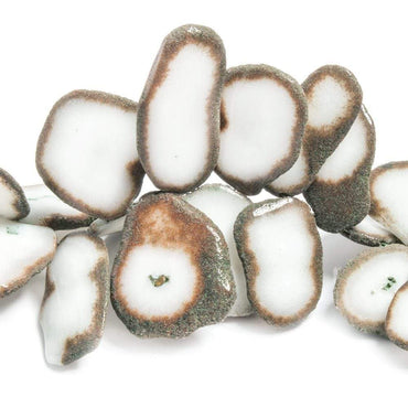 21x16-27x22mm Mocha Edged Solar Quartz Top Drilled Slices 7 inch 29 beads (ONLINE ORDER ONLY)