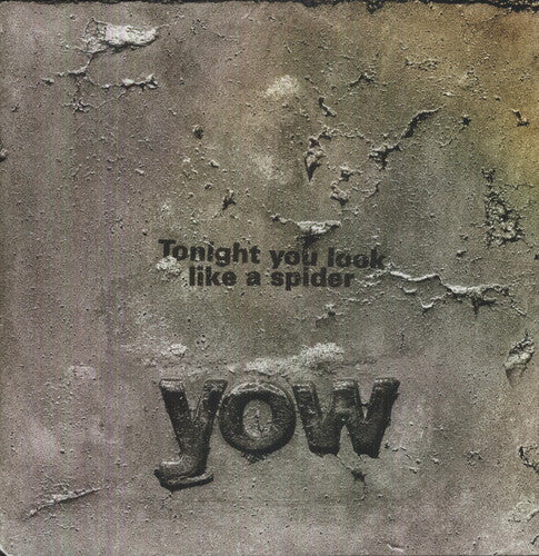Tonight You Look Like a Spider [LP]