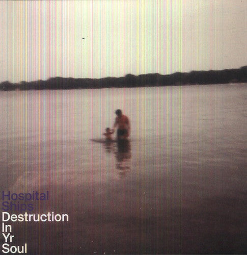 Destruction in Yr Soul [LP]