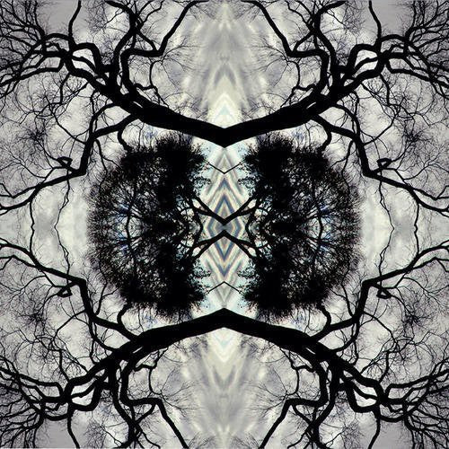 Sonic Mandala Go: Organic Orchestra [LP]