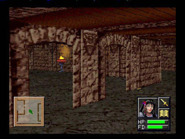 Advanced Dungeons & Dragons: Lost Dungeon (AD&D: Slayer) [Japan Import] (3DO) (ONLINE ORDER ONLY)