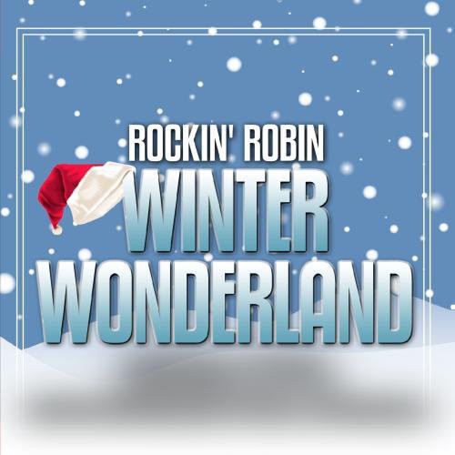 Winter Wonderland [CD]