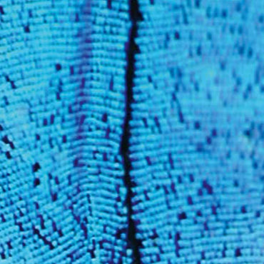 2562 - The New Today [Vinyl] (ONLINE ORDER ONLY)