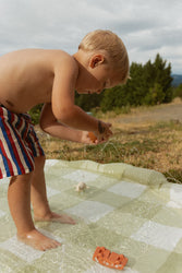 Green Gingham Splash Pad