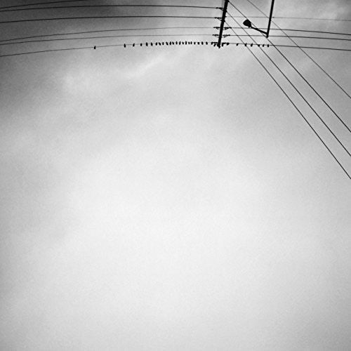 Hummingbird [LP]