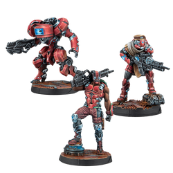 Beyond Operation Mazebreaker (ONLINE ORDER ONLY)