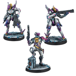 Beyond Operation Mazebreaker (ONLINE ORDER ONLY)