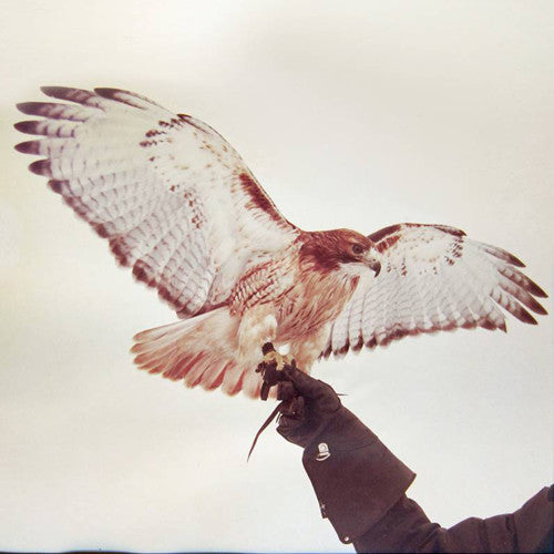 Wild Birds [LP]