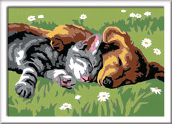 CreArt Kids: Sleeping Cat & Dog (ONLINE ORDER ONLY)