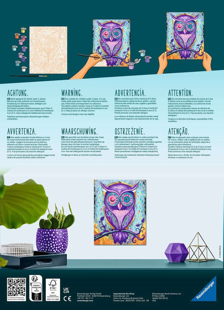 CreArt: Dreaming Owl (ONLINE ORDER ONLY)