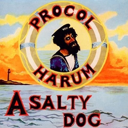 Salty Dog [Import]