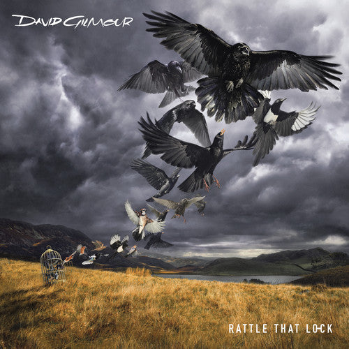Rattle That Lock [CD/DVD] [Deluxe Edition] [Box Set]