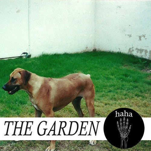 Haha [Vinyl]