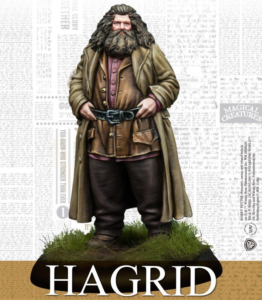 Harry Potter Miniatures Adventure Game: Rubeus Hagrid & Fang Pack (ONLINE ORDER ONLY)