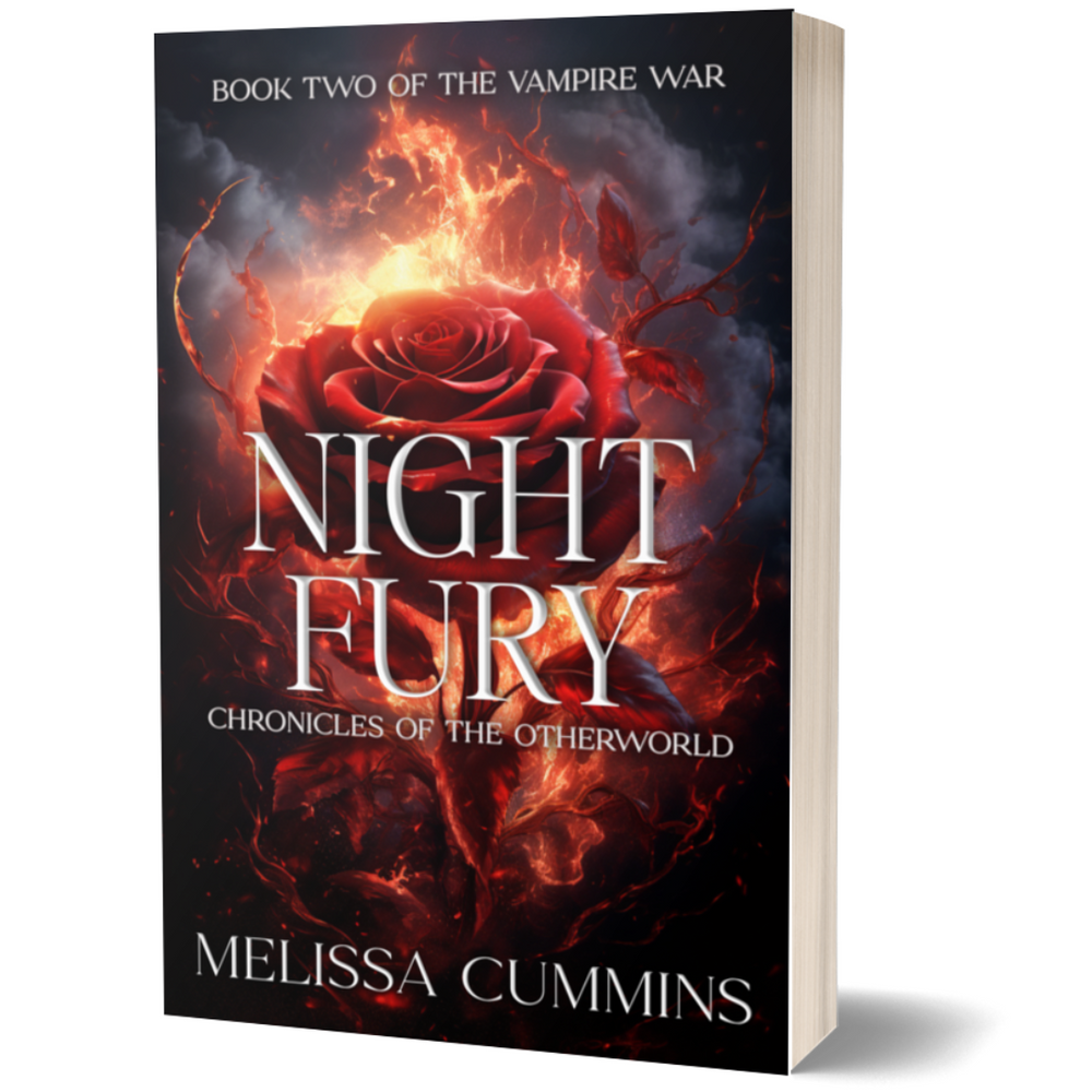 Night Fury Paperback (Online Order Only) (ONLINE ORDER ONLY)