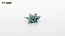 Gamers Grass | Laser Plants | Blue Agave (ONLINE ORDER ONLY)