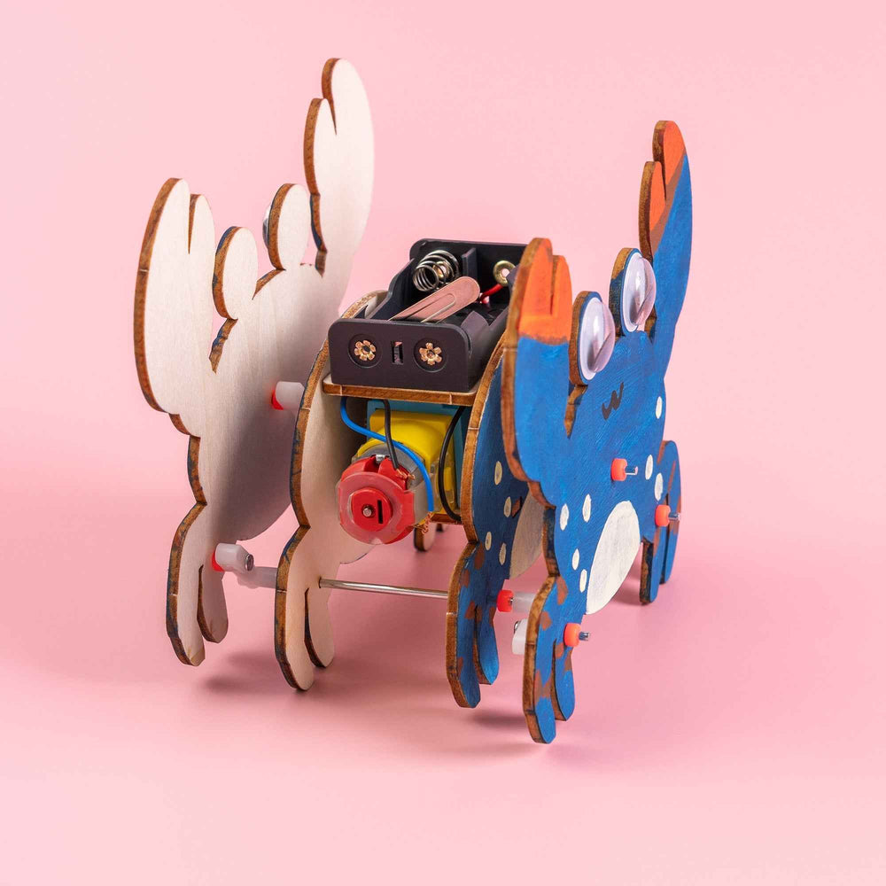 Sound-Activated Walking Crab STEM Kit – Build, Paint & Watch It Walk (ONLINE ORDER ONLY)
