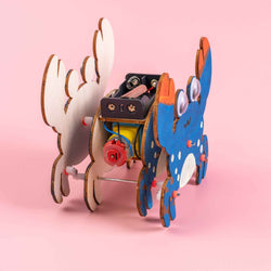 Sound-Activated Walking Crab STEM Kit – Build, Paint & Watch It Walk (ONLINE ORDER ONLY)