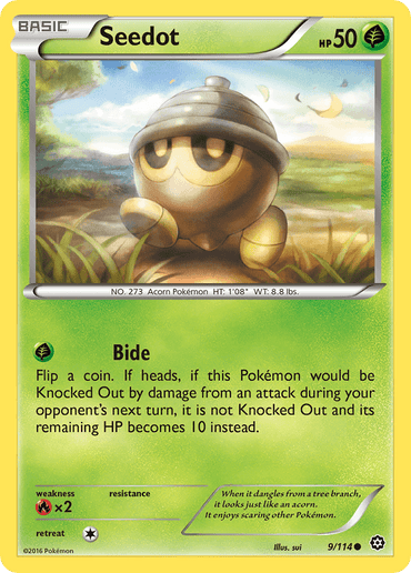 Seedot (9/114) [XY: Steam Siege] (Online Only)