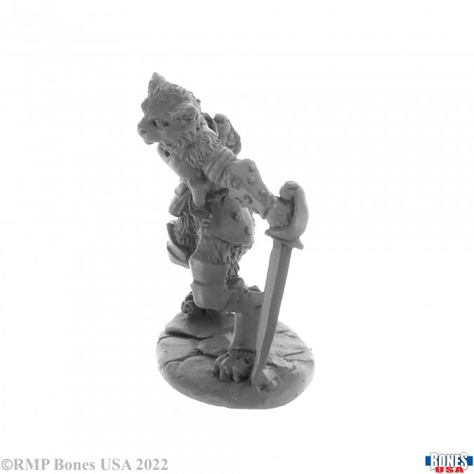 Reaper Legends: Catfolk Rogue, Shadoweyes (ONLINE ORDER ONLY)