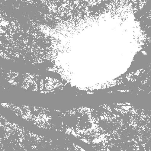 Field Recordings from the Sun [LP]